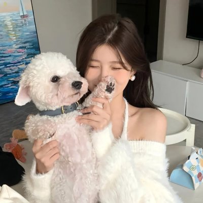 幼狮王朝